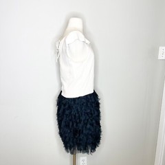 Gap Size 4 Spring 2011 Dress Sleeveless Chiffon Tulle Skirt Coquette Glam Y2K