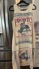 Jaded Gypsy Flour Sack Dress Size S/M