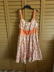 Official Disney Parks Orange Bird Dress (2XL)