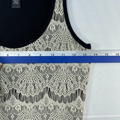 International Concepts Dress Womens size Small Beige Black Lace Lined Stretch