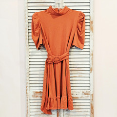 LEYDEN CASUAL BELTED MINI DRESS Size Large Rust Career Fall Fashion Office BNWT
