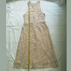 Alexia Admor Champagne Floral Embroidered Mesh Midi Dress Silver Peach M NWT
