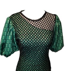Aomei Multimedia Puff Sleve Fishnet Dress Size Small