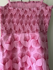 Hyacinth House Raspberry Ginko Dress