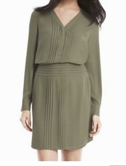 WHBM Women Pleated Shirt Dress 4 |XS Green Sheer Lined Fairy L/S Office Career