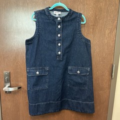 ALIGNE Luella Denim Mini Dress Anthropologie Oversized Utility Women’s 12 Denim