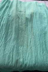 1950/60s sheer fairy style beautiful dress