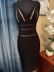 Cache Stretch Bodycon Sleeveless Deep V Neck Black Dress Size 6