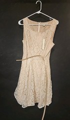 Lauren Conrad Champagne Lace Sleeveless Dress With Belt Size 16 Blushing Blooms