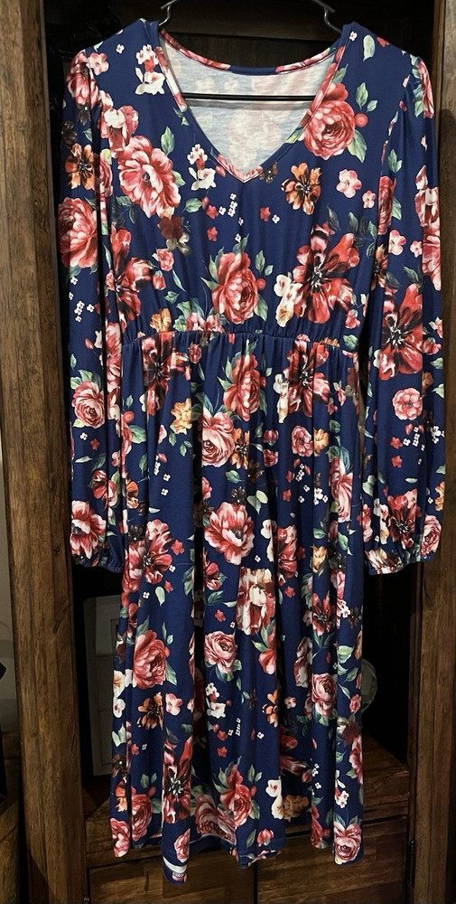 Emory Rose Women&rsquo;s M Blue Pink Floral A-Line Midi Dress V-Neck Long Sleeve
