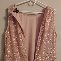 Candilite XL Pink Sequin Solid V-Neck Sleeveless Zip Lined Stretch Maxi Dress