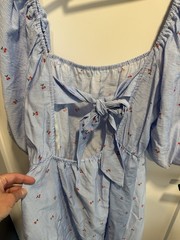 Size Large Cherry Print Light Blue Striped Puff Sleeve Fit And Flare Dress New