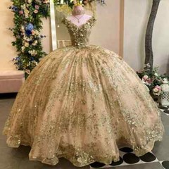 Ball Gown Quinceanera Dress Applique Bead Birthday Party Sweet Vestidos De 15