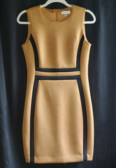 Calvin Klein Tan Black Colorblock Sheath Dress 8P Sleeveless Round Neck Zip