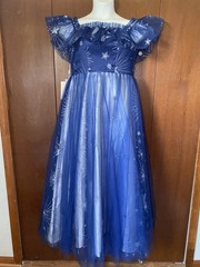 LIMITED Edition Celestial LanTing Couture Navy Blue Tulle Ball Gown Dress