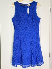 Boutique Royal Blue Lace Dress XL
