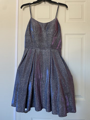 Betsy & Adam Purple Silver Metallic Glitter Scoop Neck Fit & Flare Dress 8