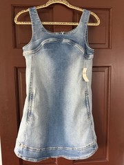 Pilcro Blue Denim Shift Dress Short Sleeveless Scoop Neck Zip Front Solid S