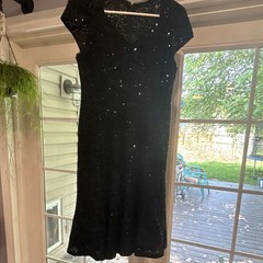 Alex Evenings Black Lace Sequin A-Line Dress Scoop Neck Cap Sleeve Zip 10P