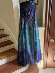 Prom, wedding, sparkle, long, never worn.