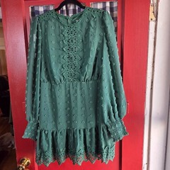 Love X Design Women&rsquo;s Green Swiss Dot Long Sleeve Mini Dress Rear Zip Size M NWT
