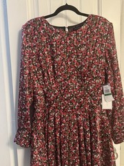 1.STATE Women’s Floral Ruffle Mini Dress L Long Sleeve Round Neck Back Zip