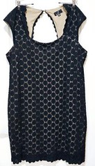 Ronni Nicole Elegant Lace shift Dress with Scalloped Hem.