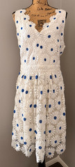 Boston Proper Daisy Fit and Flare Dress Embroidered Floral Sleeveless Boho 14