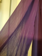 SIMPLY STATED Purple Chiffon Lined Embellished Beaded Cuff Sleeve WOMEN&rsquo;S Size 6