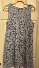 Chelsea & Violet Lace Sleeveless Dress