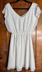 Gianni Bini White Mini VNeck Slip Dress Womens Sz Small – EUC