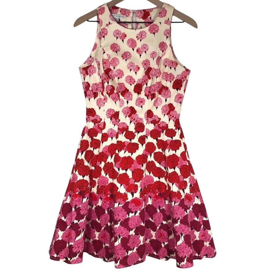 MAGGY LONDON Carnation Floral Fit & Flare Sleeveless Dress Sz 4 Pink Red Pockets