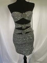 White Fox Silver Sequins Dress