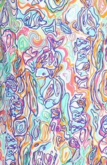 Lilly Pulitzer Saemus What A Catch Beaded Belted Silk CDC Tunic Shift Dress