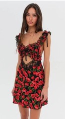 For Love & Lemons Varvera Florentine Rose Printed Cutouts Lace Mini Dress XS