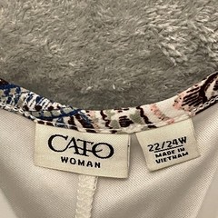 Cato Women Paisley Print Shift Dress 22/24W Plus Boho Chic Neutral Maximalist