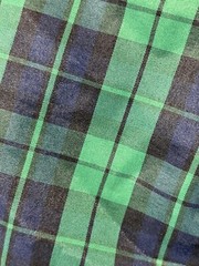 Luella Bartley for Target Mini Bubble Dress Sz 1 Green Navy Tartan Plaid Emo
