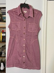 Pilcro Seamed Button-Front Denim Mini Dress in Pink