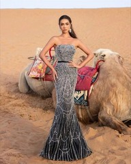 Long Evening Dresses for Special Occasions Shawl Elegant Party Dresses