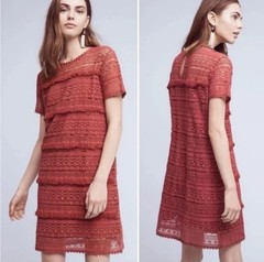 NWT$168 Anthropologie 02Sky Crocheted Rose Dress S Looped Fringe,Scalloped Edges