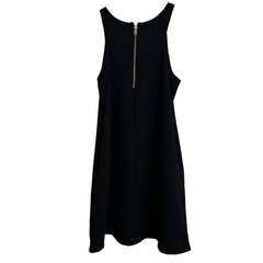 Brigitte Bailey Black Sleeveless A-Line Dress Gold Back Zipper Preppy Old Money