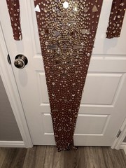 Angel Brinks Eclipse Gown