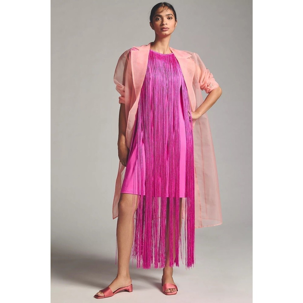 NWT❤️Hutch Fringed Sleeveless Dress szL