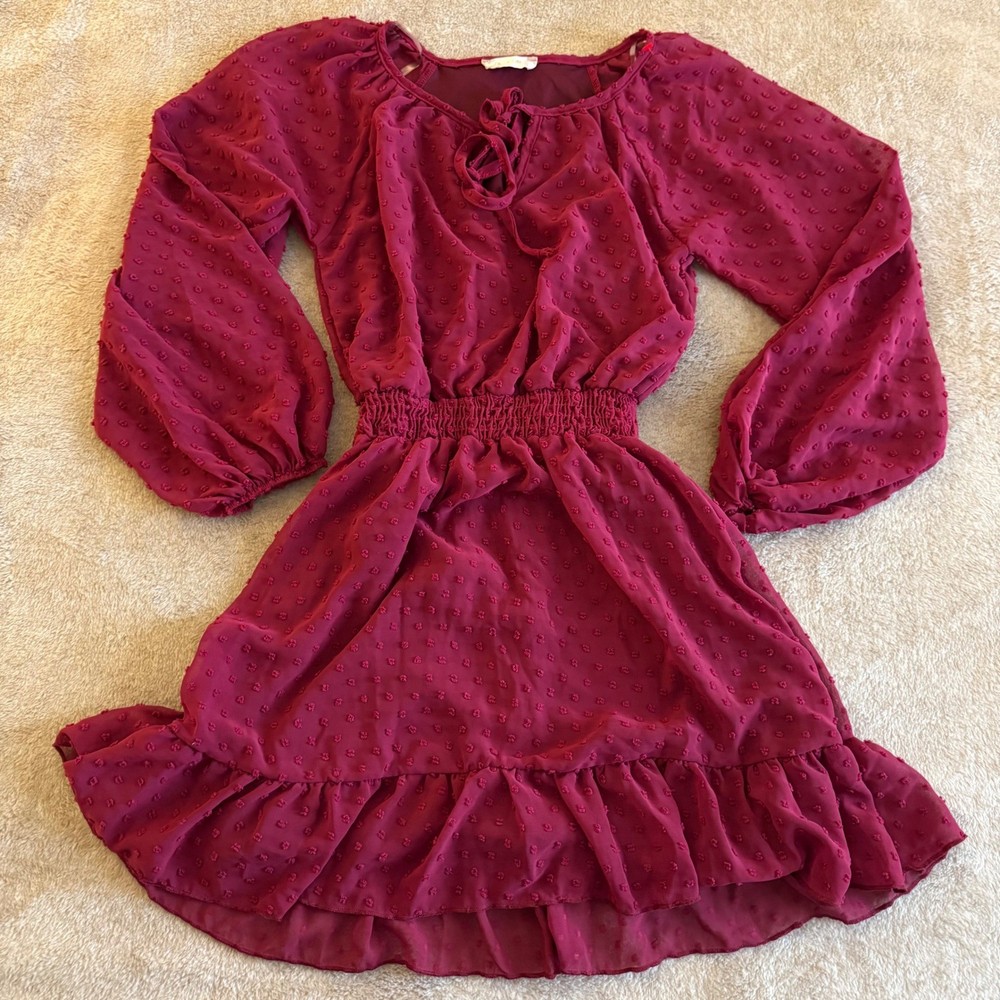 Altar&rsquo;d State Burgundy Swiss Dot Smocked Mini Dress Long Balloon Sleeve XS