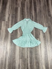 Walker & Wade Mia Gingham Dress NWT Size XS
