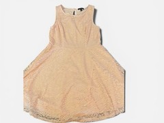 City Triangles Light Pink Lace Fit & Flare Short Dress L Sleeveless Lined Floral