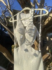 Size 00 Vienna Prom Dress Ball Gown Silver Shimmer & tiny Rhinestones NWT