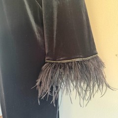 Alex Evenings Black Velvet Evening Dress with Feather Trim