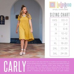 Lularoe Southwest Aztec Carly Dress Medium 10/12 8/10 🦄 Beige Black Stripe New