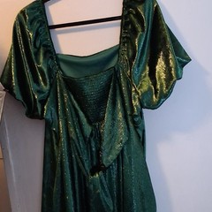 Arula Vintage Goth. Ruffle Lined Scoop Neck Short Sleeve Mini after 5 wear